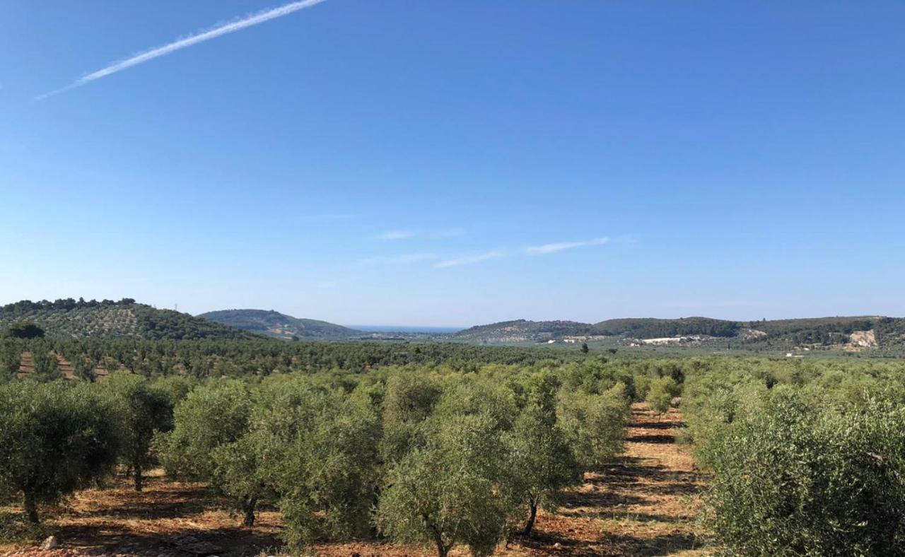 Borgo Rosoli Vieste Luaran gambar