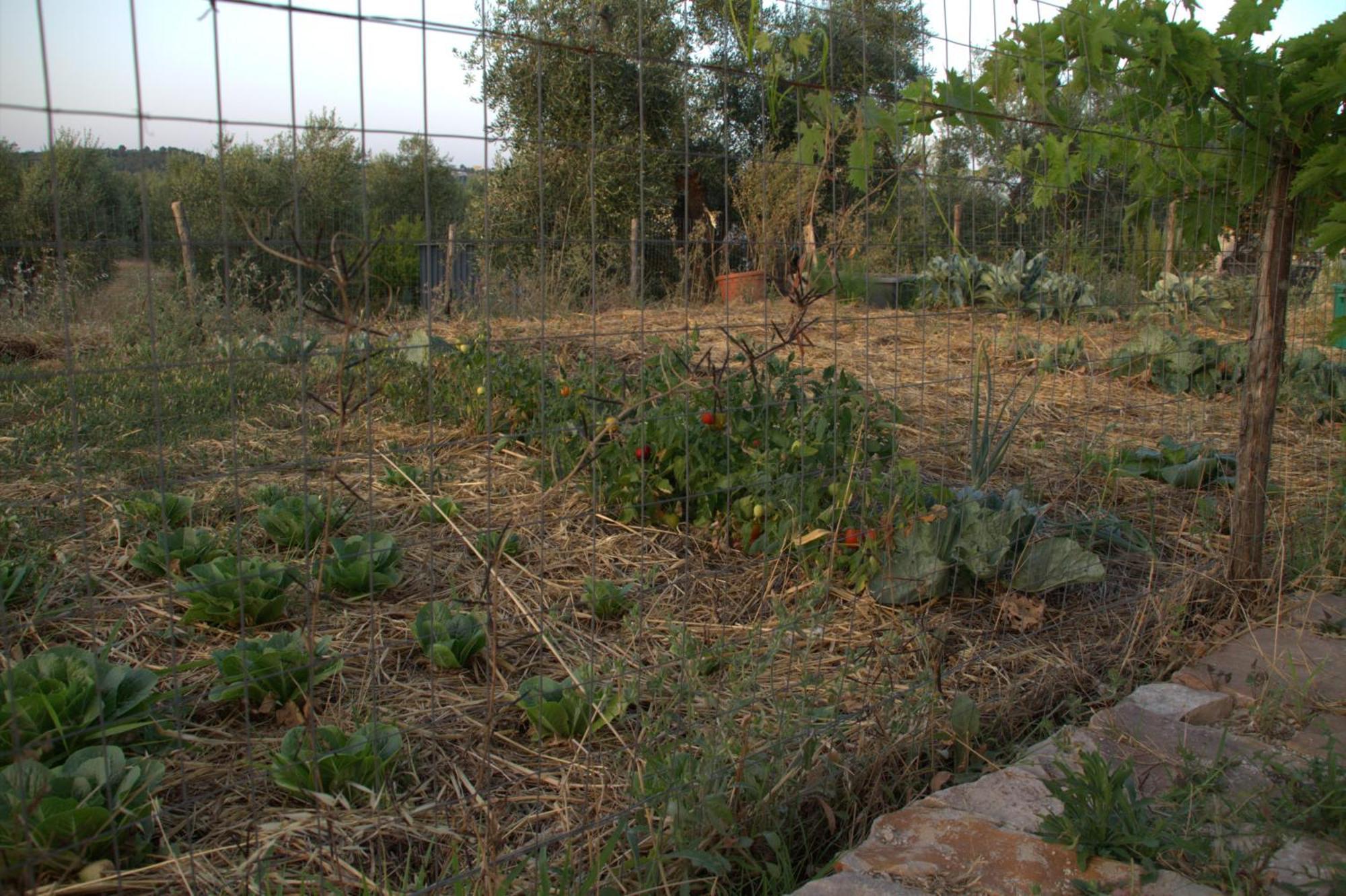 Borgo Rosoli Vieste Luaran gambar
