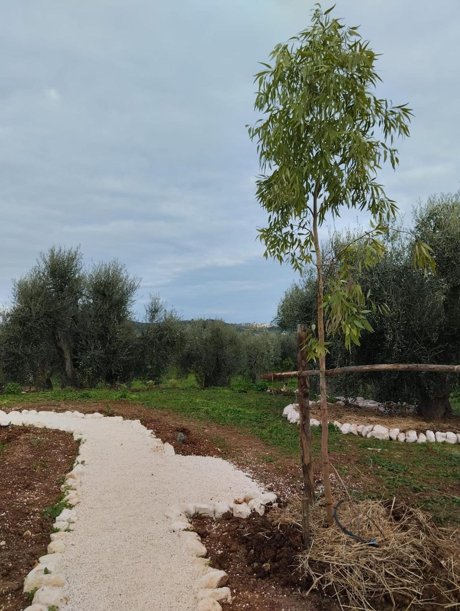 Borgo Rosoli Vieste Luaran gambar