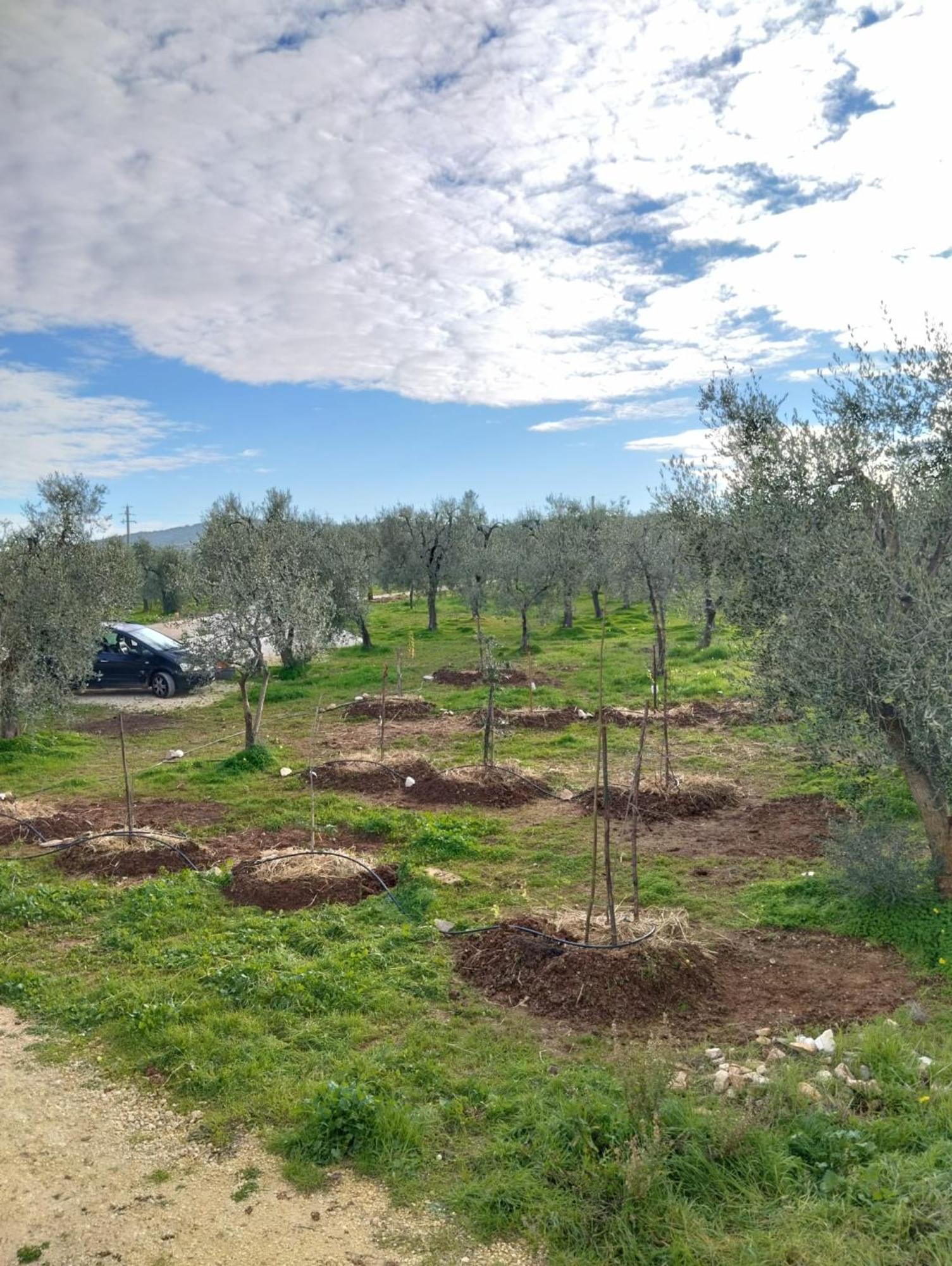 Borgo Rosoli Vieste Luaran gambar