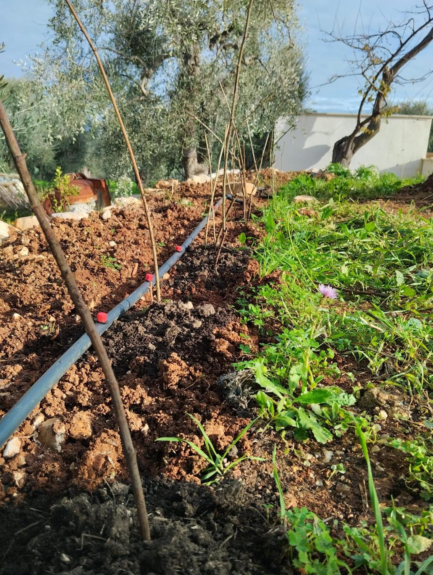 Borgo Rosoli Vieste Luaran gambar